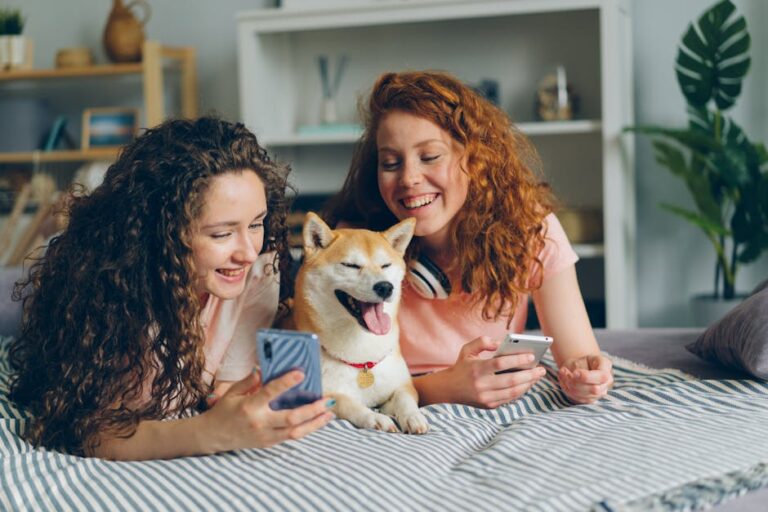 The Future of Pet Health: Wearable Tech for Your Furry Friends